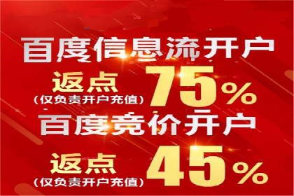 百度推广案例：从零到一的SEO优化之路